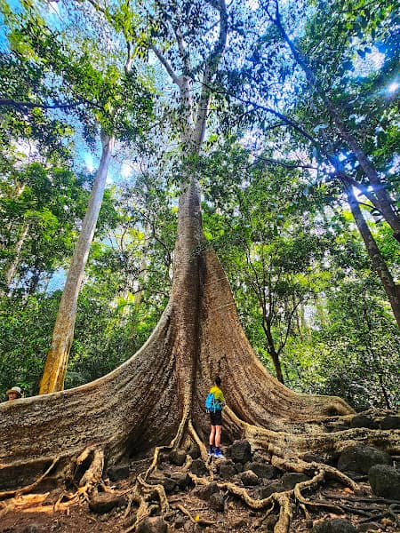 Vườn quốc gia Cát Tiên