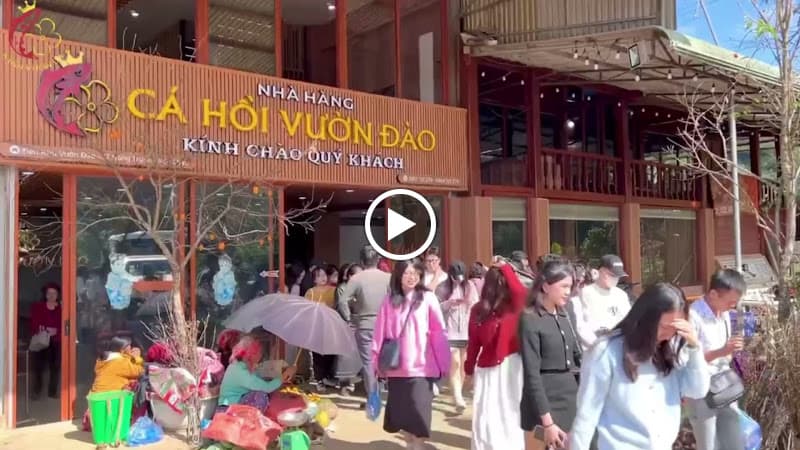 Hình ảnh Nhà Hàng Cá Hồi Vườn Đào Mộc Châu - 2