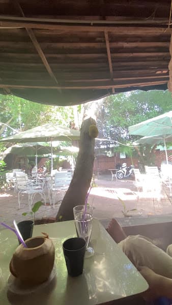 Hình ảnh Cà phê Cõi Riêng - 3