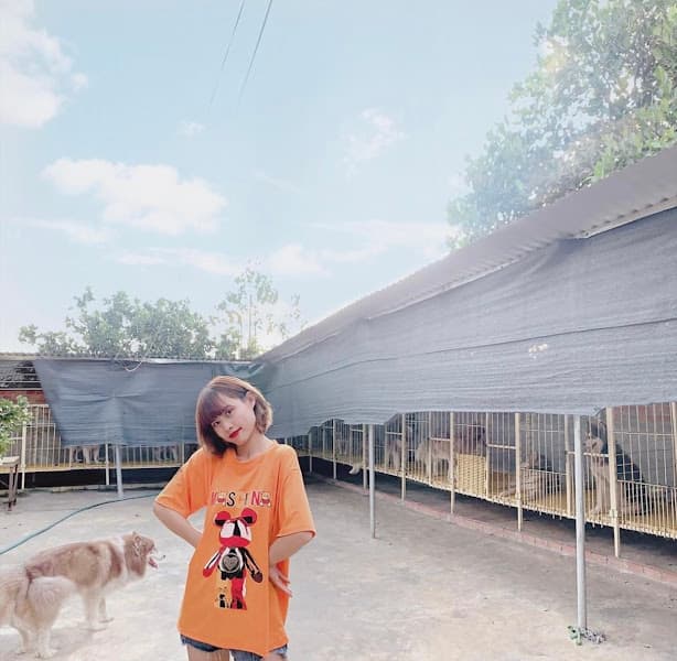 Ảnh bìa Trại Chó Cảnh Alaska Trang Nhung