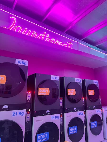 Hình ảnh Qualithai Laundromat Services - 4