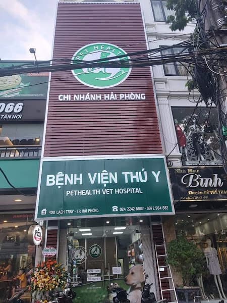 Bệnh Viện Thú Y PetHealth Hải Phòng