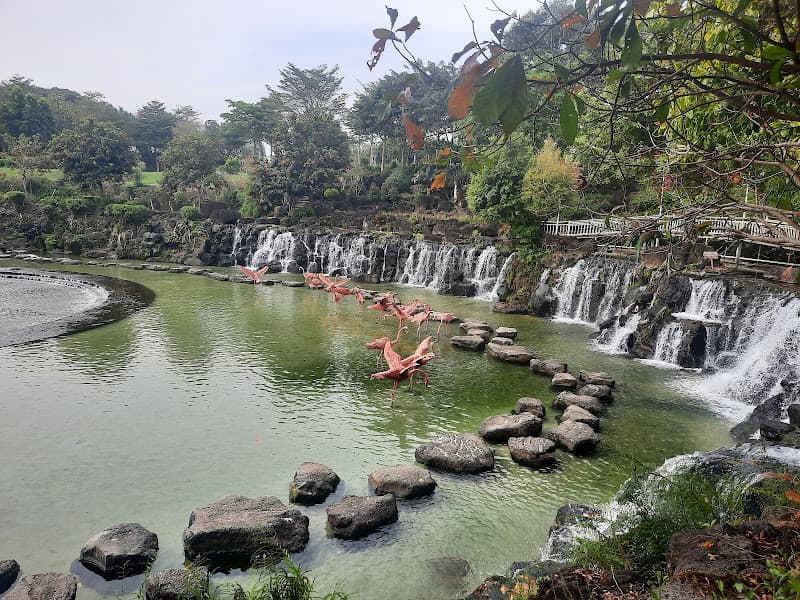 KDL Suối Mơ - Đồng Nai