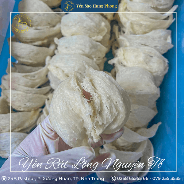 Hình ảnh Yến Sào Nha Trang Hưng Phong I - 5