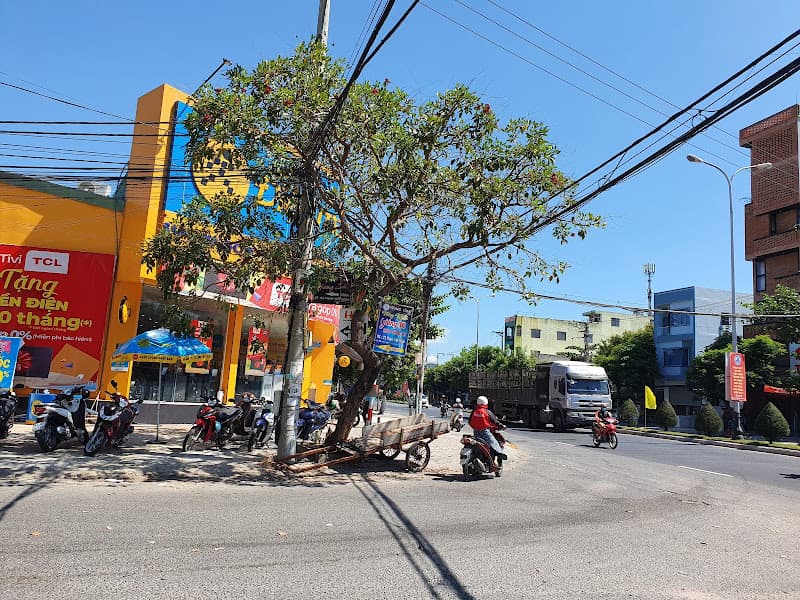 Hình ảnh Thế Giới Di Động - 3