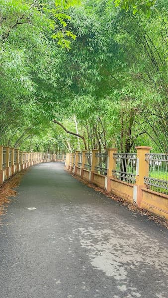 Hình ảnh Khu di tích lịch sử Địa đạo Lợi Thuận - 4