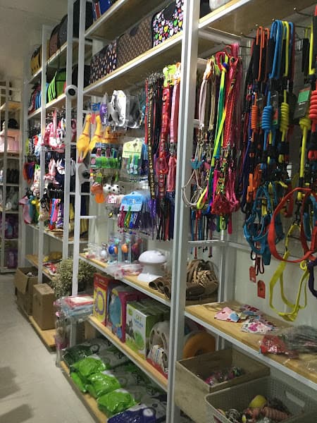 Hình ảnh Mango Petshop - 2