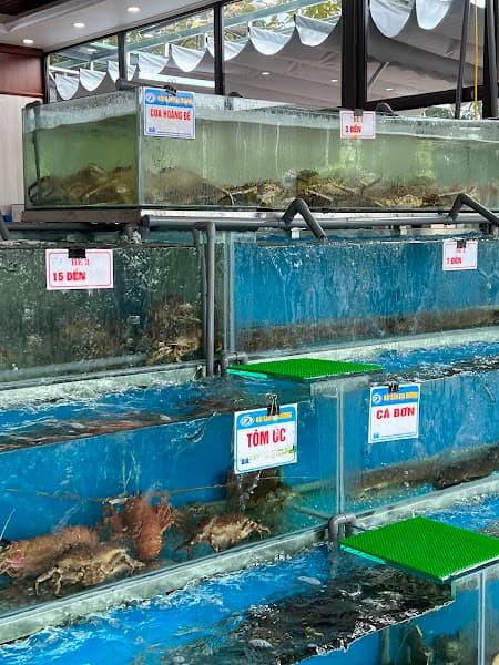 Hình ảnh NHÀ HÀNG ĐỆ NHẤT ĐẠI DƯƠNG - 2