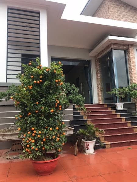 Hình ảnh Quầy Thuốc Số 27 - 2