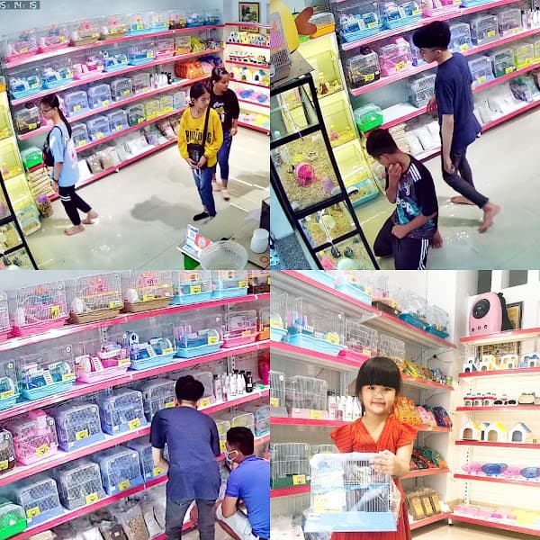 Hình ảnh PS Hamster Shop- Hamster Cần Thơ - 4