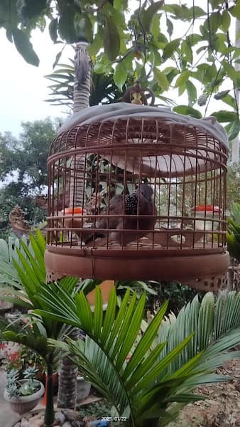 Hình ảnh Karaoke Ngân Phương - 4