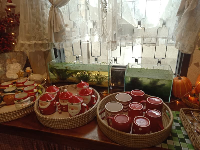 Hình ảnh P.ÚC CAFÉ - 2