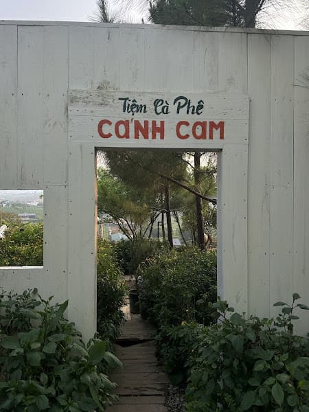 Hình ảnh Tiệm cà phê Cánh Cam - 2