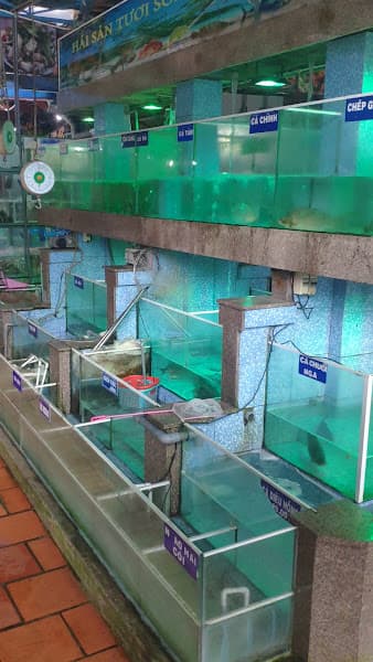 Hình ảnh Nhà hàng Hải Sản Biển Xanh - 4