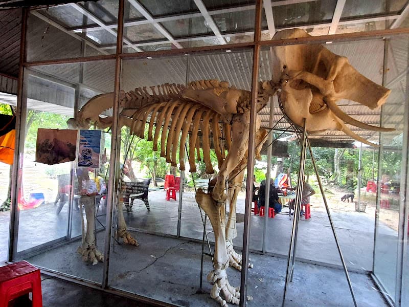 Hình ảnh Thác Mai - 4