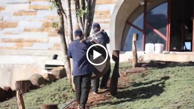Hình ảnh Bảo tàng Thế giới Cà phê - 6