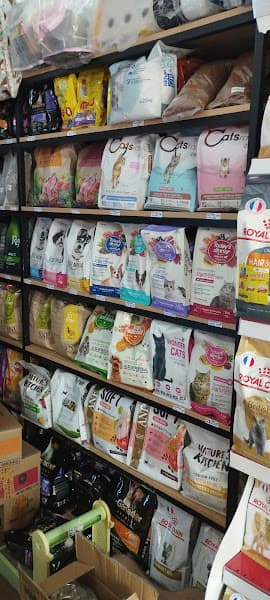 Hình ảnh Meowy Pet Shop - Cửa hàng thức ăn & Spa thú cưng - Cắt tỉa lông chó mèo - 3