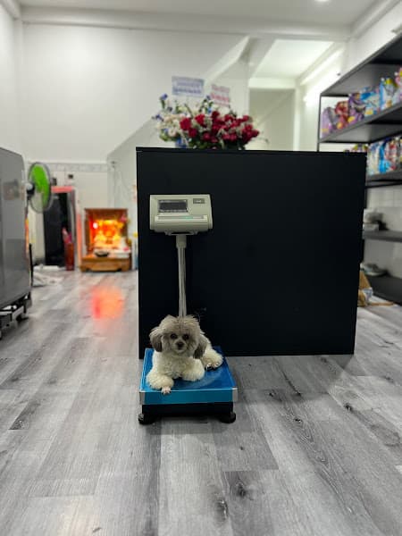 Hình ảnh Giặt sấy LAPY - 3