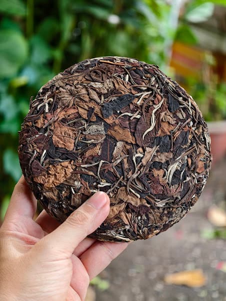 Hình ảnh Trà Thái Nguyên tại TpHCM - 5