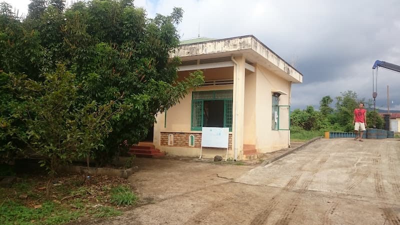 Hình ảnh Chi Nhánh IaBă - Công Ty Cp Cà Phê Gia Lai - 2