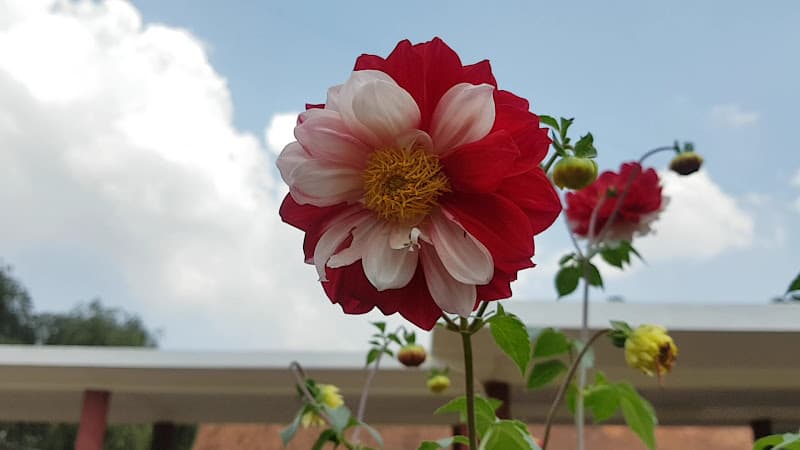 Hình ảnh Ga Đà Lạt - 2