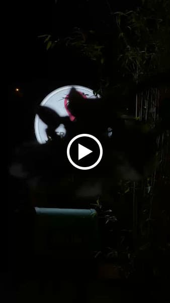 Hình ảnh Bánh mì xíu mại - Mì trộn Vườn Yên - 4