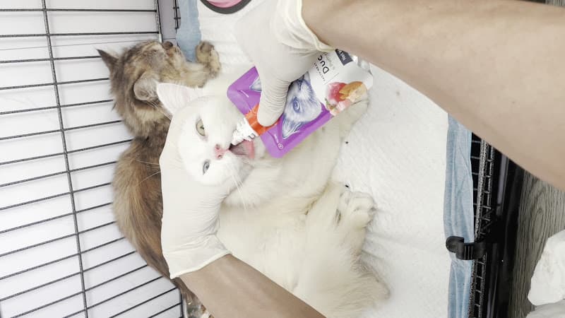 Hình ảnh Phòng Khám Thú Y BS Tiến - 2