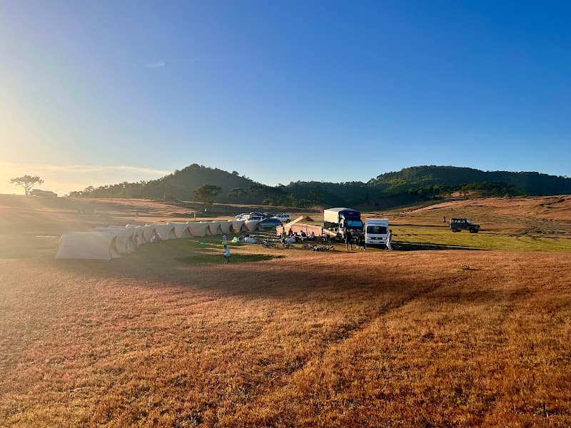 Ảnh bìa Đồi cỏ Masara