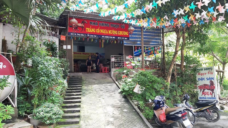 Ảnh bìa Thắng Cố Ngọc Cừ