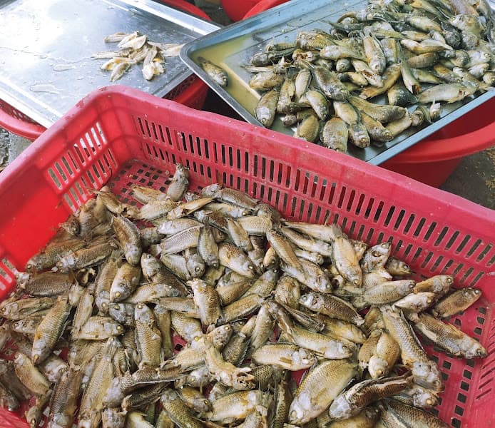 Hình ảnh Cơm Phở - 5