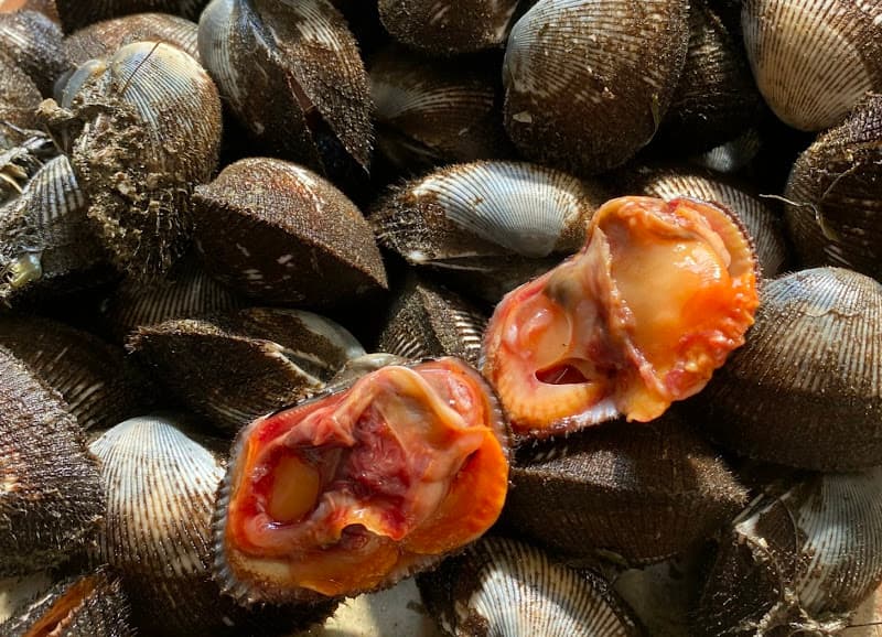 Hình ảnh Hải Sản 24G - 3