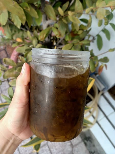 Ảnh bìa Súp Gà Bà ÚT