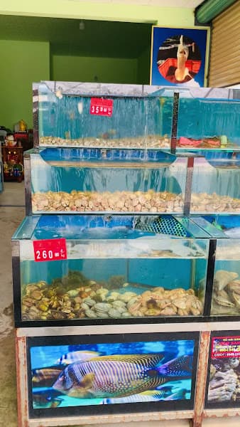 Hình ảnh Hải Sản Sóc Biển - 3