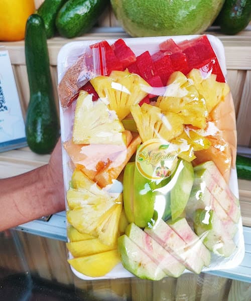Hình ảnh SÚP CUA MY PLEIKU GIA LAI - 2