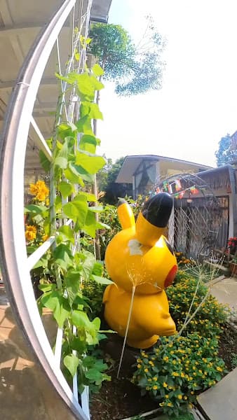 Hình ảnh Lake View Homestay - 2