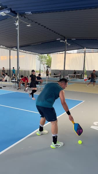 Hình ảnh Pro Pickleball - 3