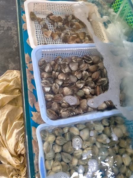 Hình ảnh Hải sản Út Lành - 5