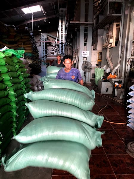 Hình ảnh Nhà máy chà tân phú - 4