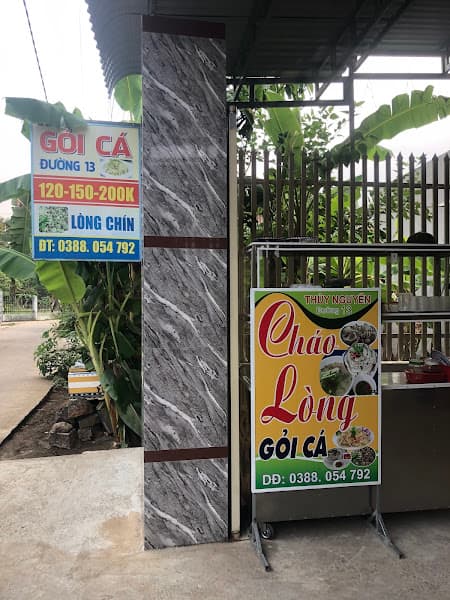 Ảnh bìa Gỏi cá đường 13 Thủy Nguyễn