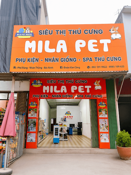 Hình ảnh MiLa Pet Gia Bình - Cửa Hàng Thú Cưng - 4