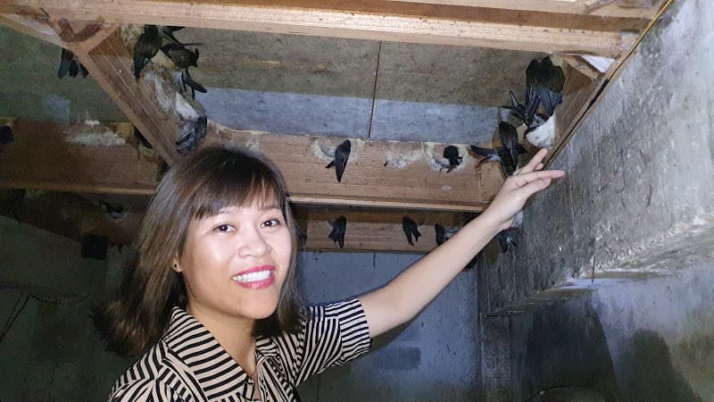 Hình ảnh Yến sào Thành Hồng - 4