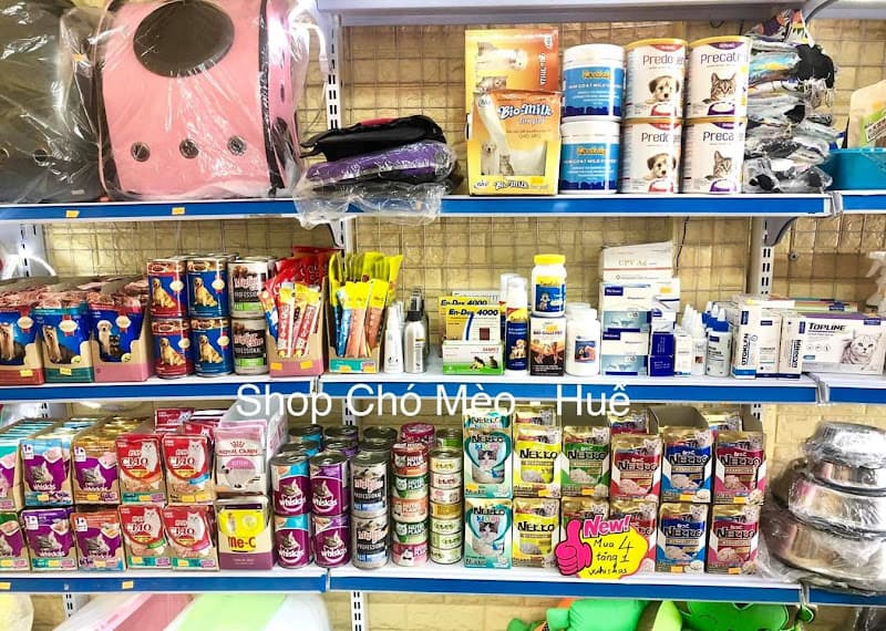 Hình ảnh Shop Chó Mèo - Huế (cơ sở 1) - 4