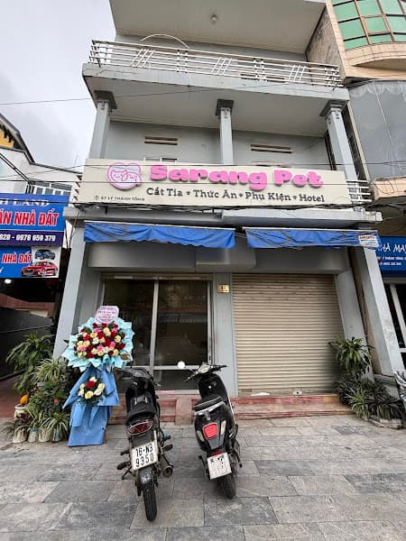 Hình ảnh Cắt Tỉa Lông Chó Mèo - SARANG PET Grooming Salon - 2