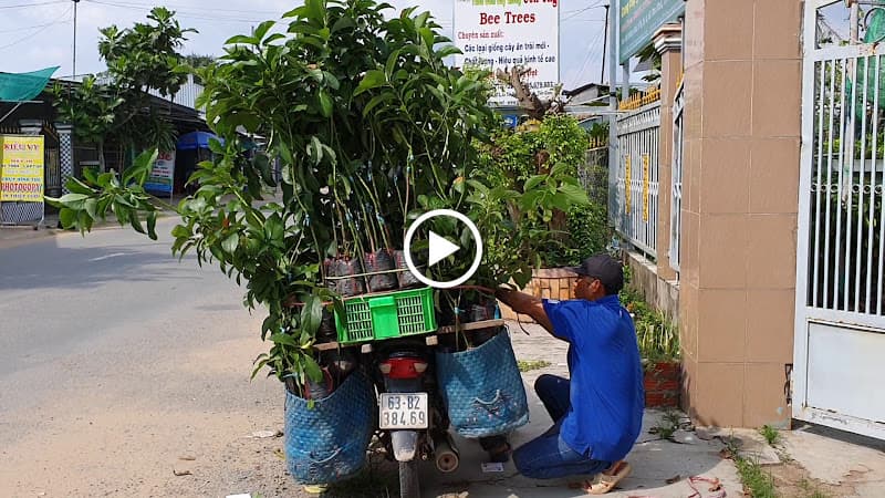 Hình ảnh Welofarm Siêu Thị Cây Giống - 5
