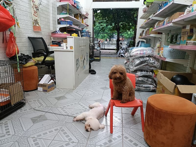 Minipet - Thế Giới Thú Cưng Thanh Hoá