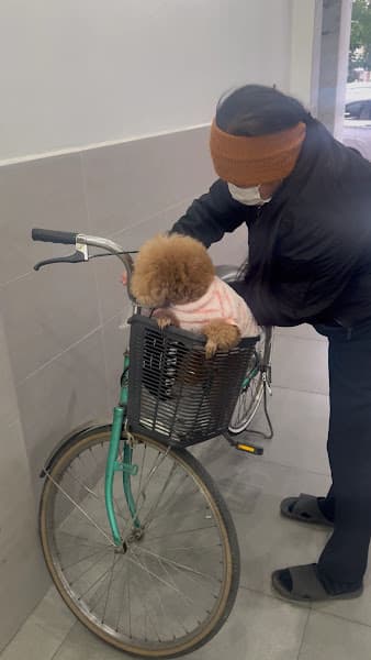 Hình ảnh Bệnh Viện Thú Y Bình An Hải Phòng - 6