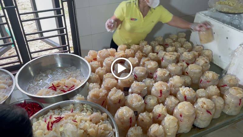 Hình ảnh Sứa Ép Dung Mai - Sứa Biển & Hải Sản - 5