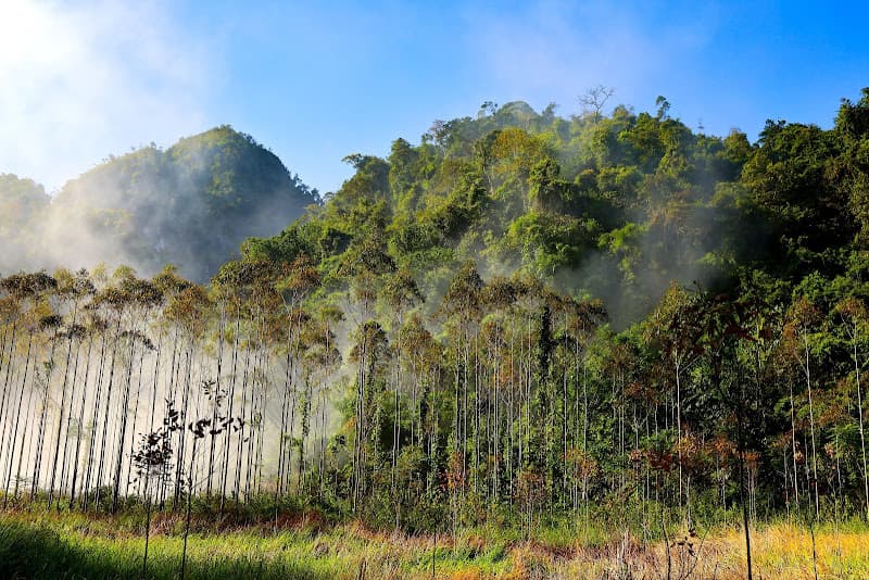 Ảnh bìa Thác Khe Dầu