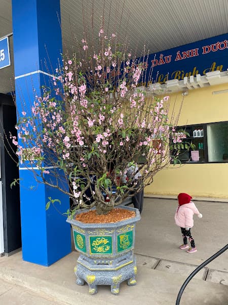 Hình ảnh Cây xăng Hồ Sơn - 2