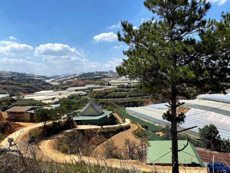 Hình ảnh Đồi Thiên Phúc Đức - 4